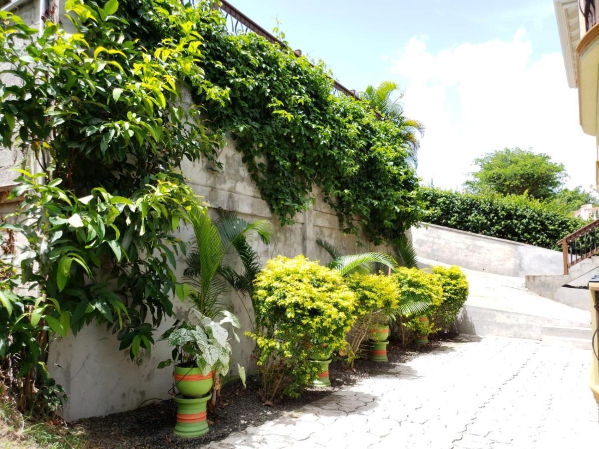 Keep Cool Guesthouse Gros Islet Zewnętrze zdjęcie