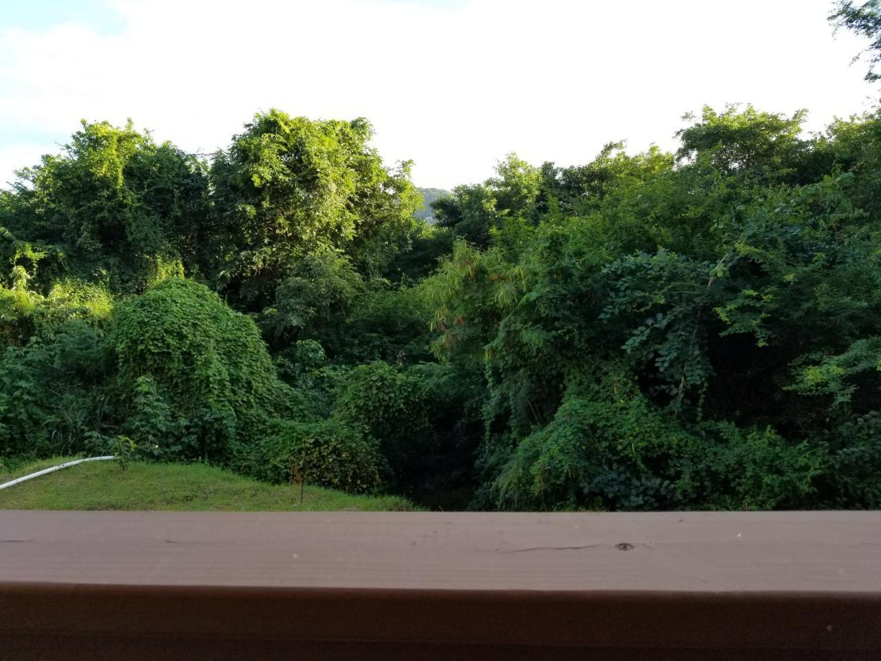 Keep Cool Guesthouse Gros Islet Zewnętrze zdjęcie